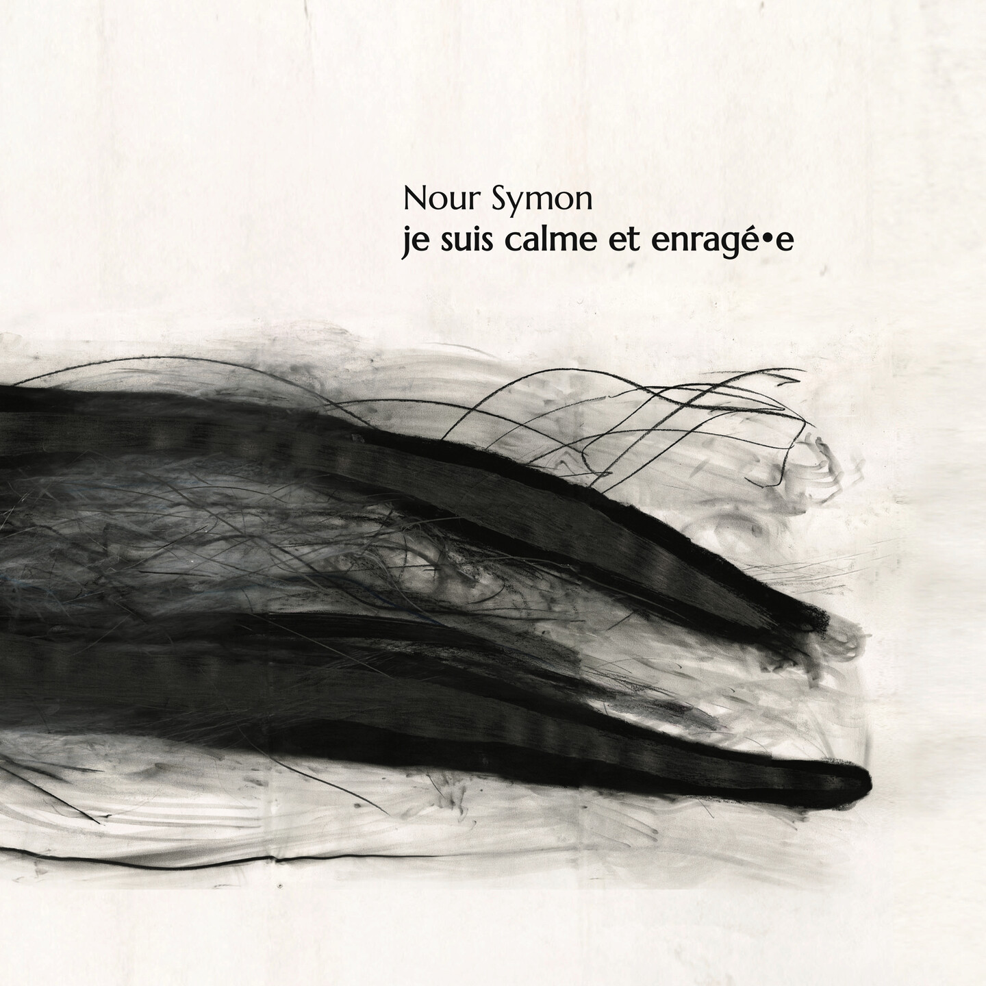 Couverture de l’album «Je suis calme et enragé·e (Téléchargement)»