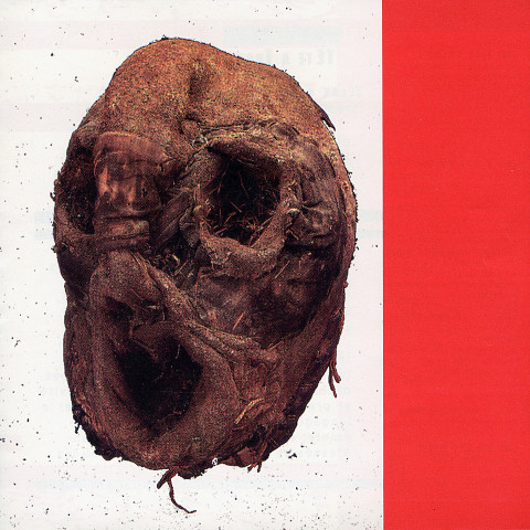 “Hole in the Head (CD)” album cover