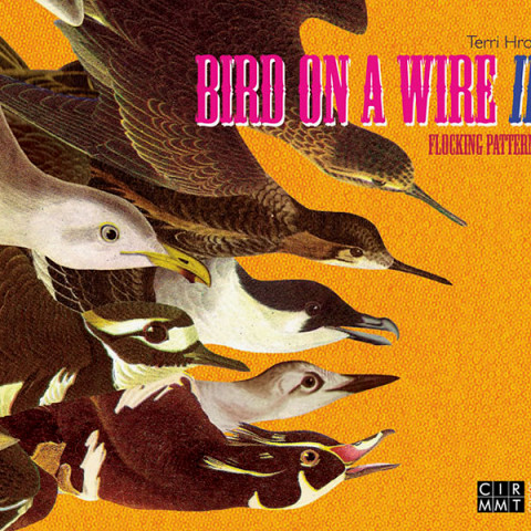 “Bird on a Wire II (CD)” album cover