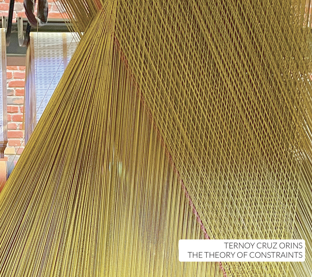 Couverture de l’album «The theory of constraints (CD)»