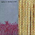“Behind a Thatched Divider (CD)” album cover