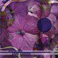 “Dark Garden (CD)” album cover