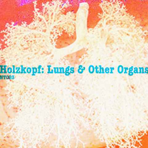 “Lungs and Other Organs (Download)” album cover