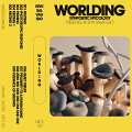 “Worlding (Audio cassette)” album cover