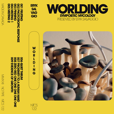 Couverture de l’album «Worlding (Cassette audio)»