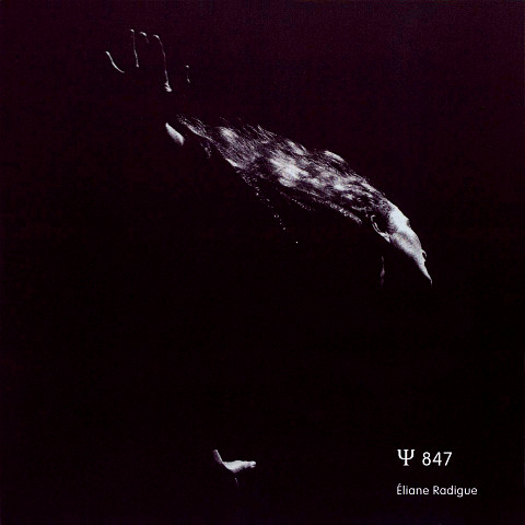 “Ψ 847 (2 × CD)” album cover