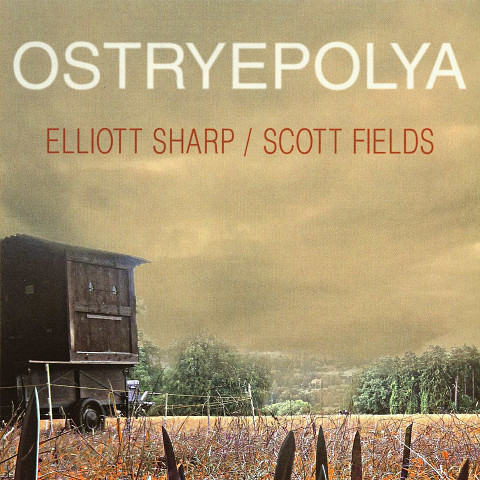 “Ostryepolya (DVD-R-Video)” album cover
