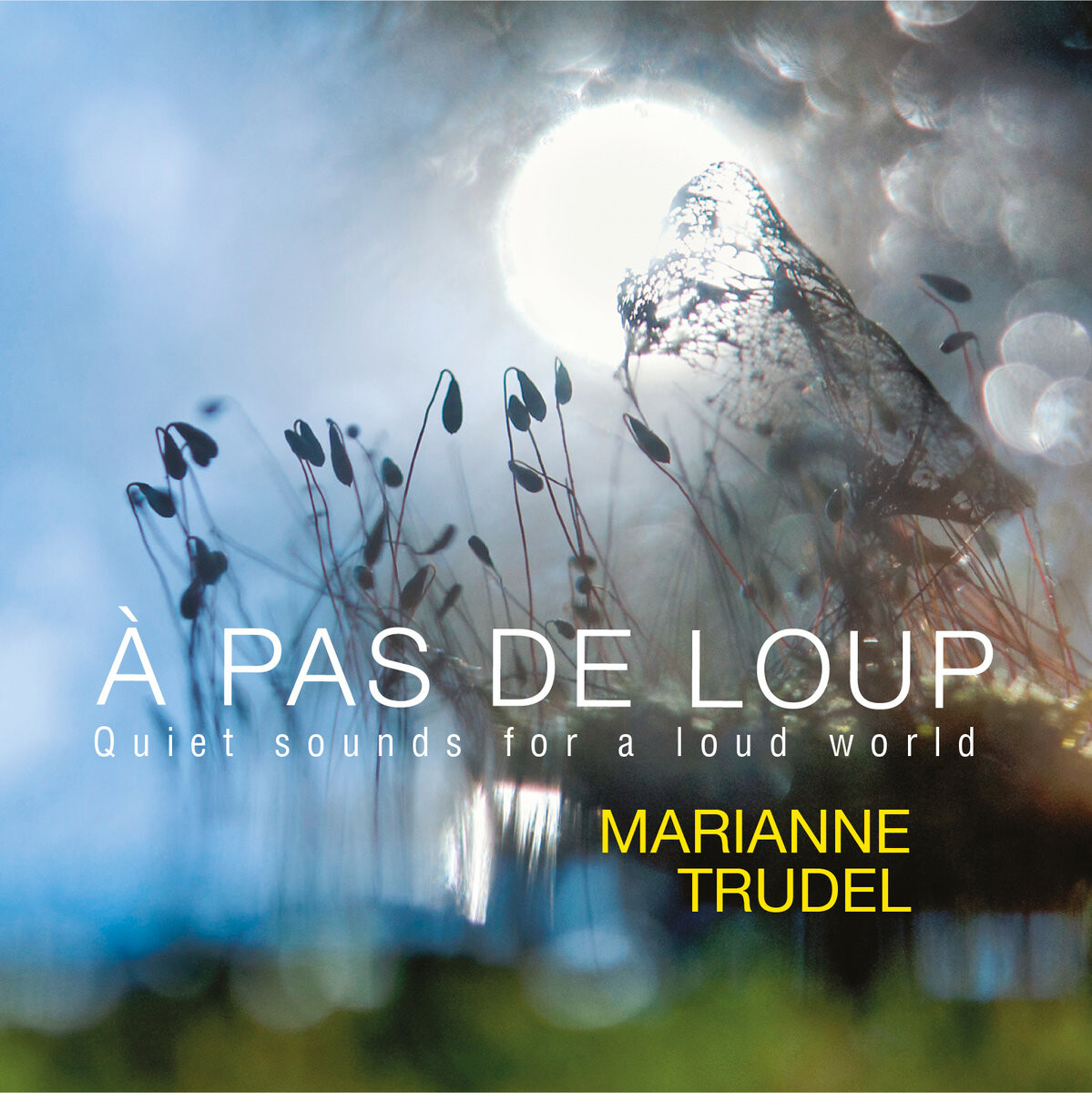 Couverture de l’album «À pas de loup (CD)»