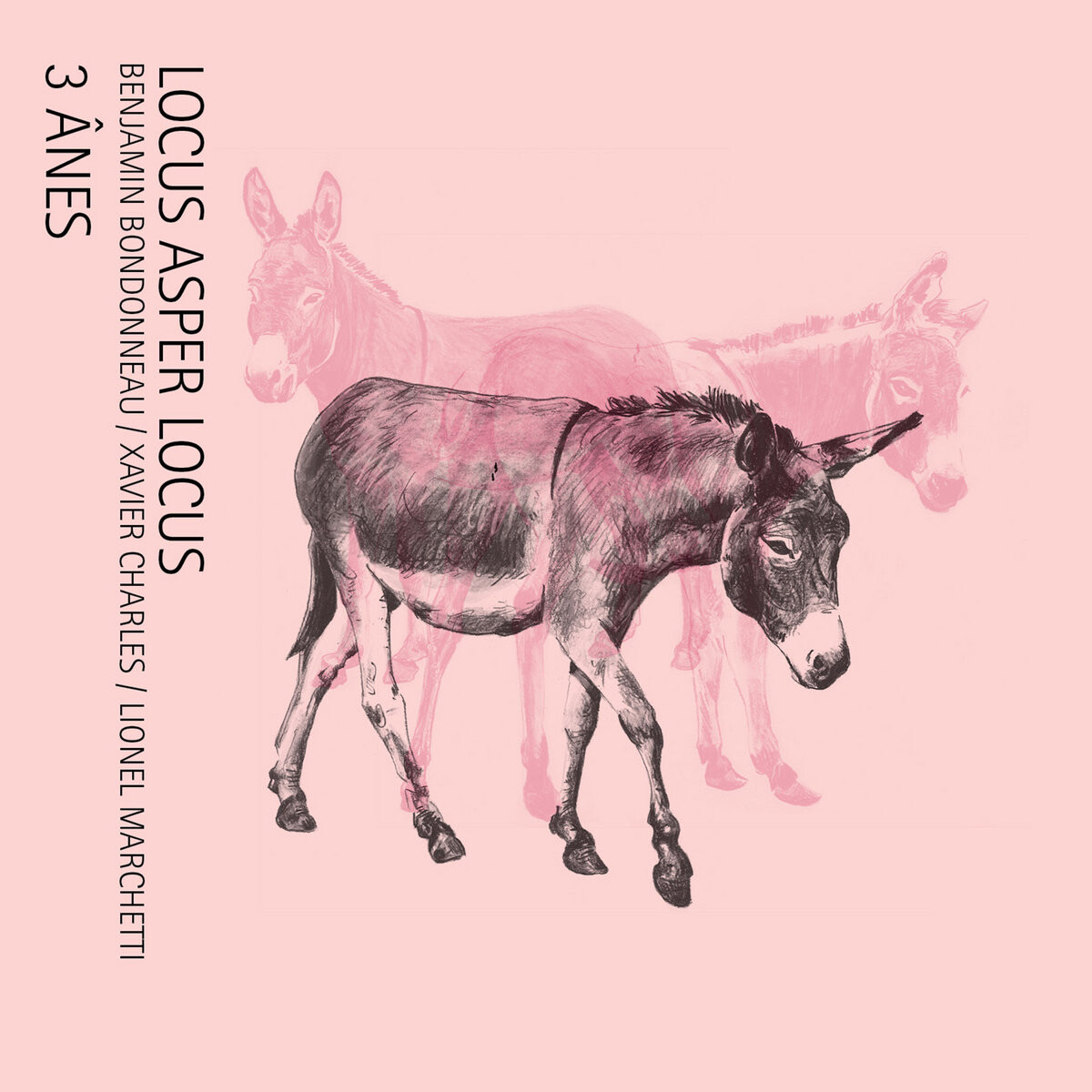 Couverture de l’album «3 ânes (CD)»