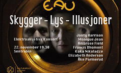 Skygger — Lys — Illusjoner, Sentralen, Oslo (Norway), tuesday, November 22, 2016