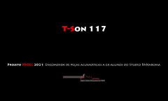 T-Son: T-Son 117, São Paulo (Brazil), thursday, November 18, 2021