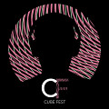 Cube Fest 2016, Blacksburg (Virginia, USA), august 5  – 7, 2016
