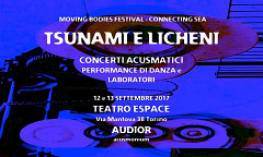 Tsunami e Licheni, Turin (Italie), 12 – 13 septembre 2017