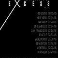 The Virtuosity of Excess, october 15, 2015 – March 29, 2016