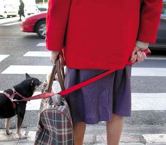 [Image: Emmanuelle Léonard]