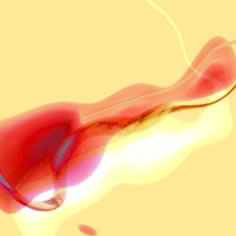 [Image: Luc Beauchemin, 1998]